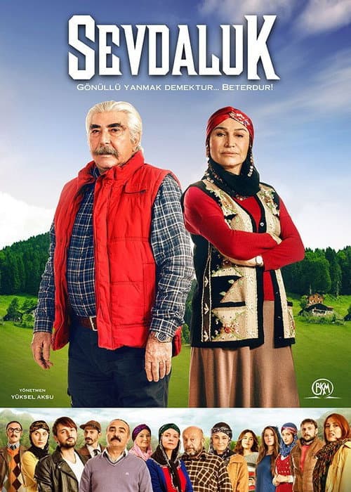 Sevdaluk (2013) poster