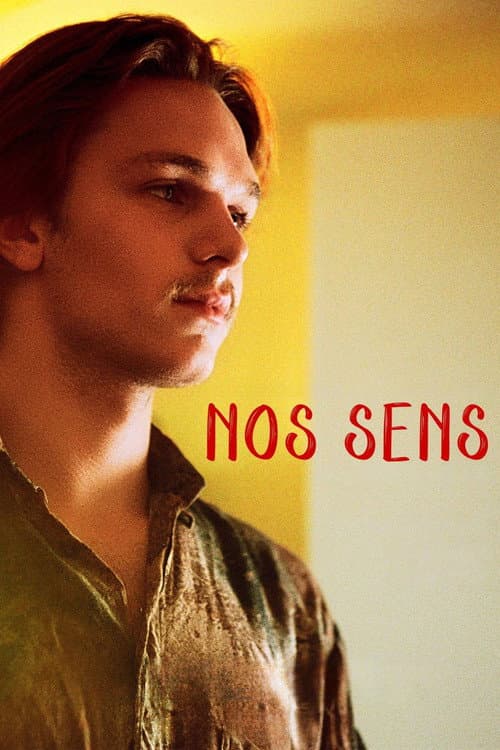 Our Senses (2024) poster
