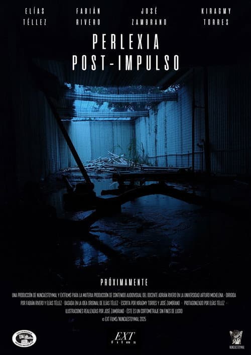 Perlexia: Post-Impulso poster