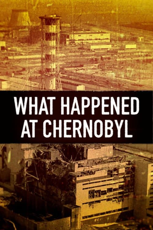 What Happened at...? (2025) poster