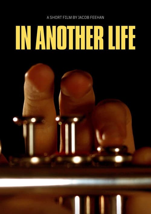 In Another Life poster