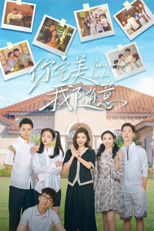 You're Perfect I'm Free poster