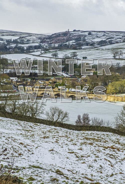 Winter Walks (2021) poster