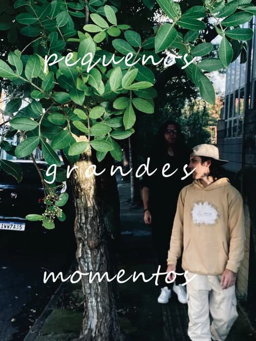 pequenos grandes momentos poster