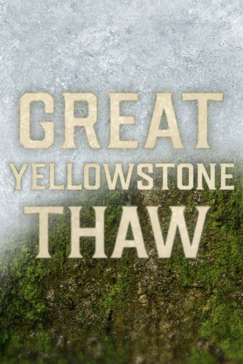 Great Yellowstone Thaw (2017) poster