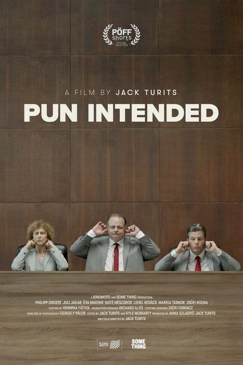 Pun Intended poster
