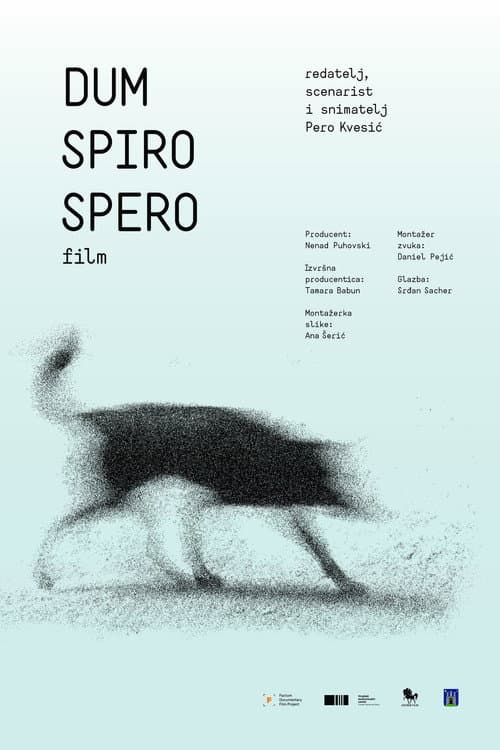Dum spiro spero poster