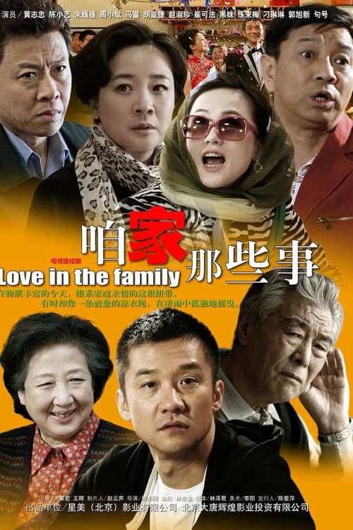 咱家那些事 (2011) poster