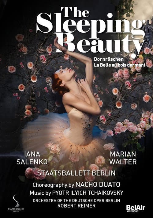 The Sleeping Beauty (2016) poster