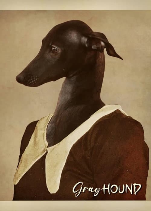 Gray Hound (2026) poster