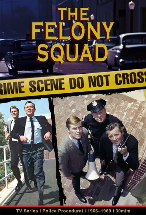 Felony Squad (1966) poster
