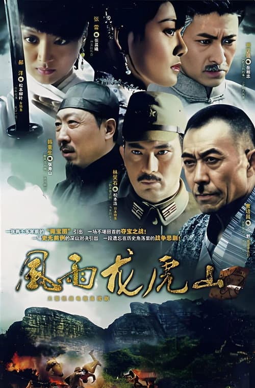 风雨龙虎山  (2007) (2007) poster