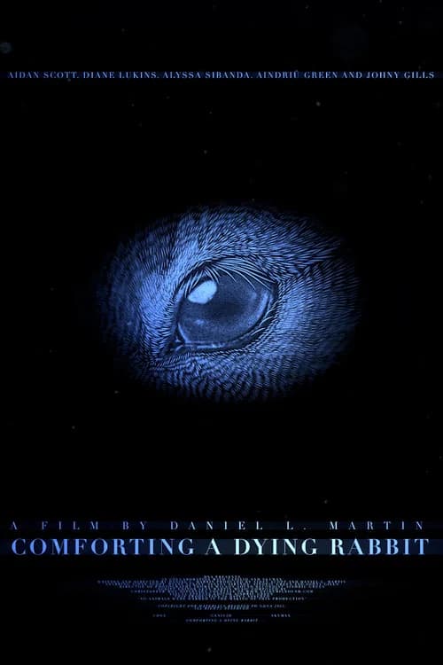 Comforting A Dying Rabbit poster