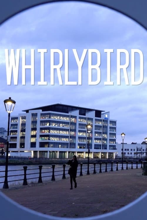 Whirlybird (2022) poster