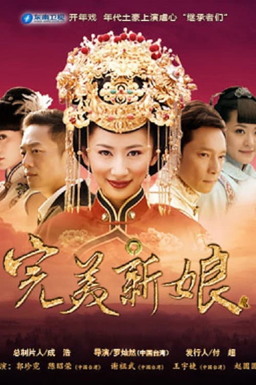 完美新娘 (2013) poster