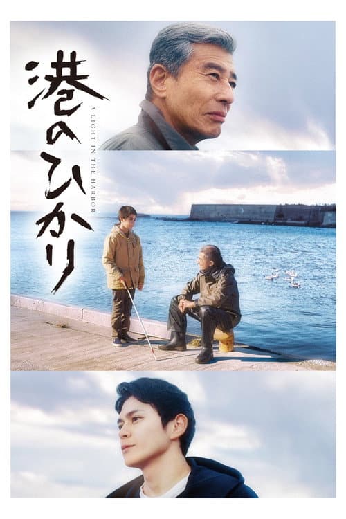 A Light in the Harbor (2025) poster