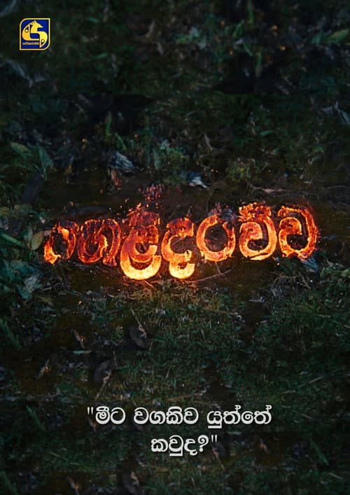 Helidarawwa (2001) poster