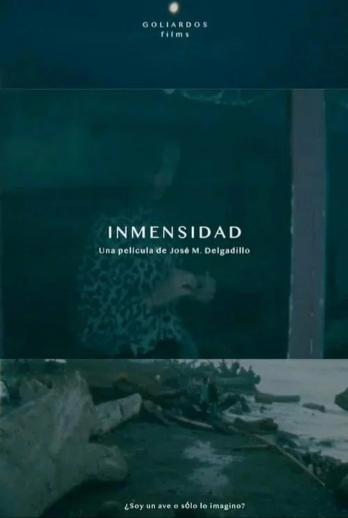 Immensity poster