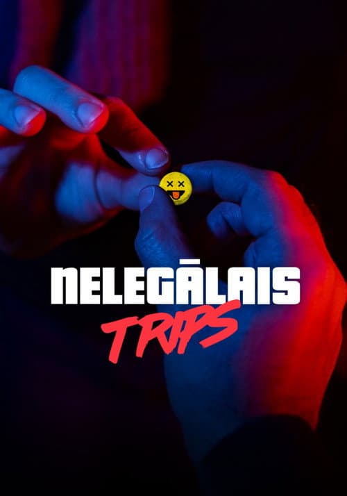 The Illegal Trip poster
