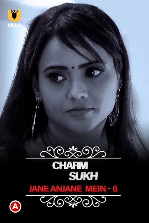 Charmsukh - Jane Anjane Mein (2023) poster