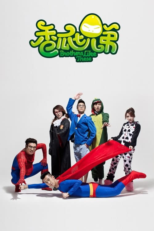 Brothers Like These (2013) poster
