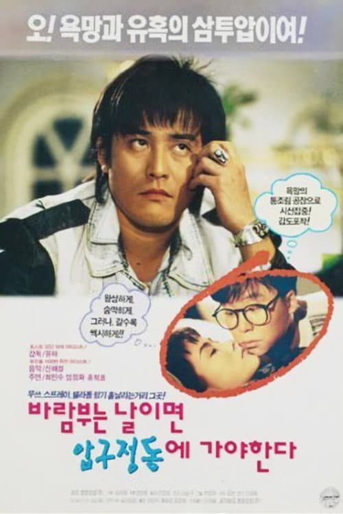 On a Windy Day We Must Go to Apgujeong (1993) poster