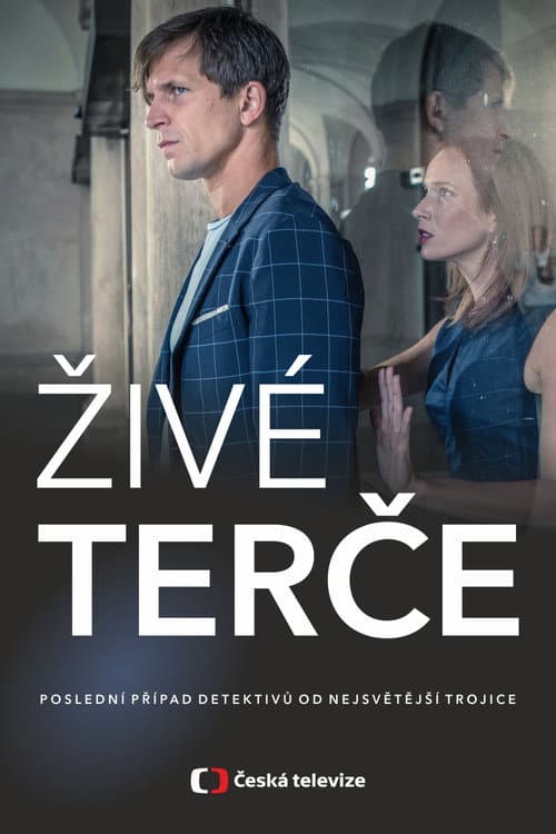 Živé terče (2019) poster