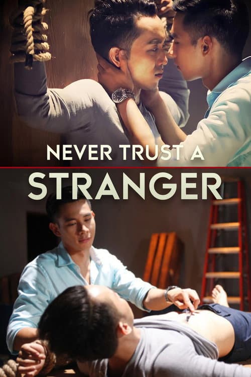 Never Trust a Stranger (2015) poster