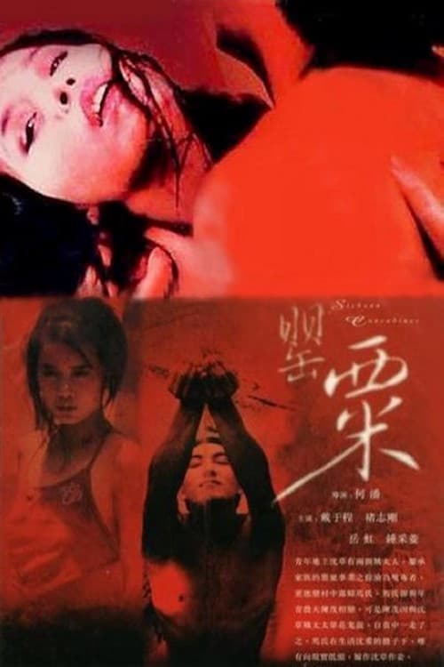 The Sichuan Concubines (1994) poster