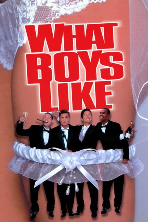What Boys Like (2003) poster