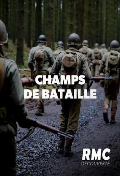 Battlefields (2014) poster
