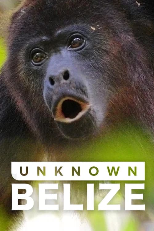 Unknown Belize poster