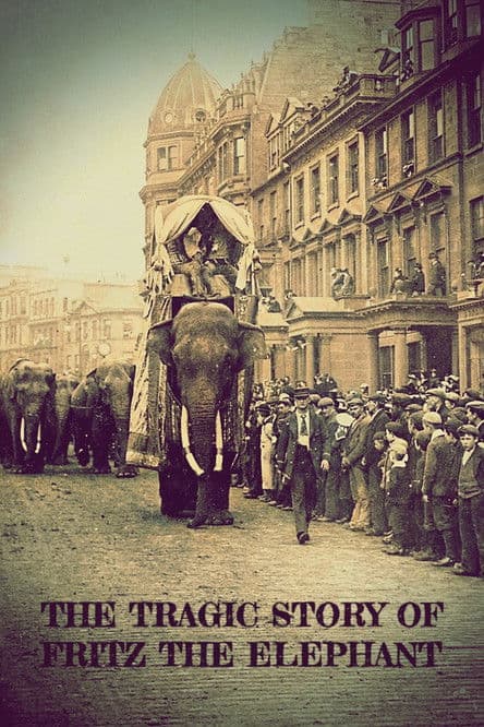 The Tragic Story of Fritz the Elephant poster