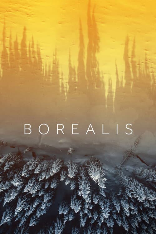 Borealis (2020) poster