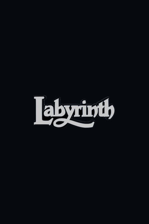 Labyrinth 2 poster