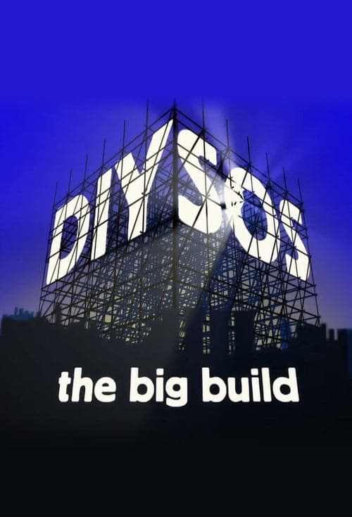 DIY SOS (1999) poster