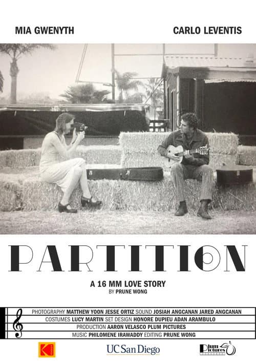PARTITION poster
