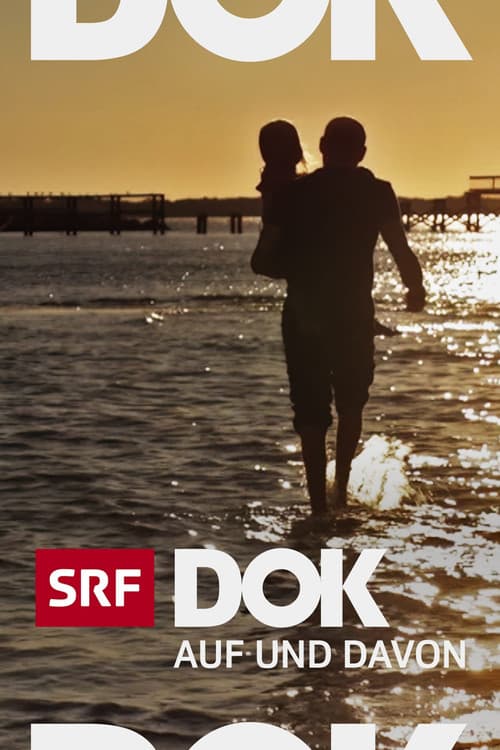 Bye bye Switzerland (2009) poster