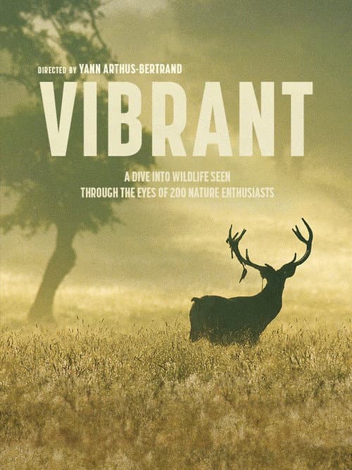 Vibrant (2023) poster