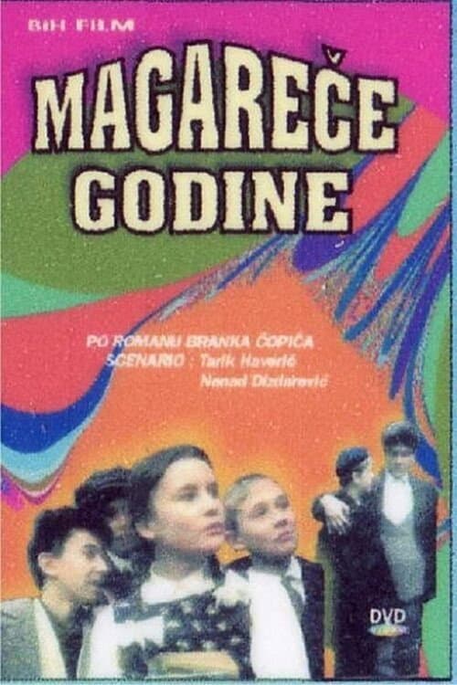 The Awkward Age (1994) poster