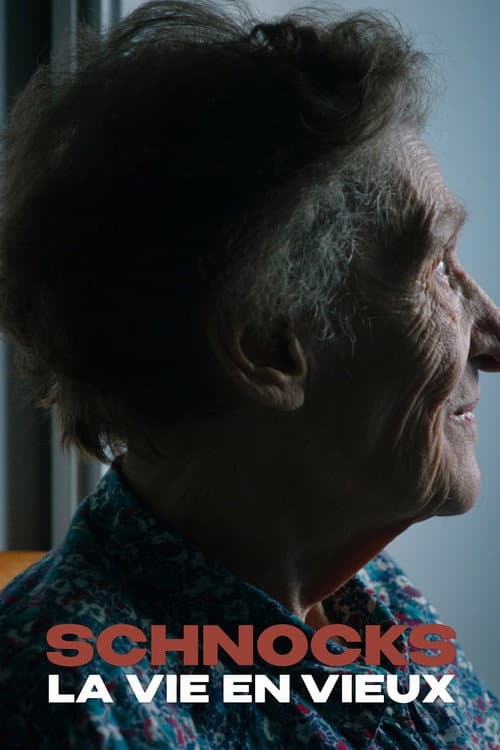 Schnocks, la vie en vieux poster