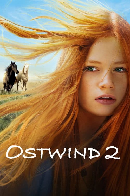 Windstorm 2 (2015) poster