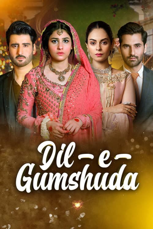Dil e Gumshuda (2019) poster