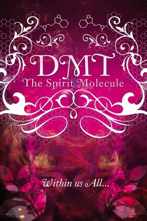 DMT: The Spirit Molecule (2010) poster