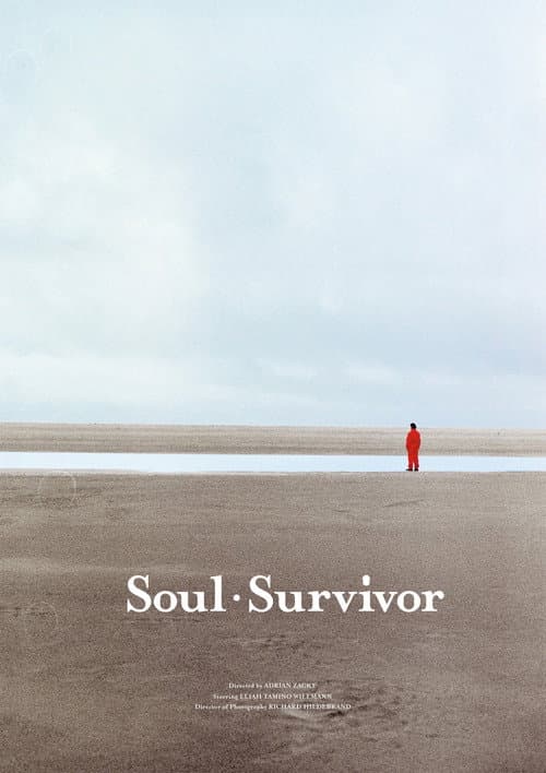 Soul Survivor poster
