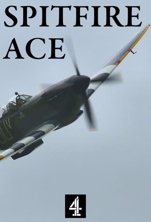 Spitfire Ace (2004) poster