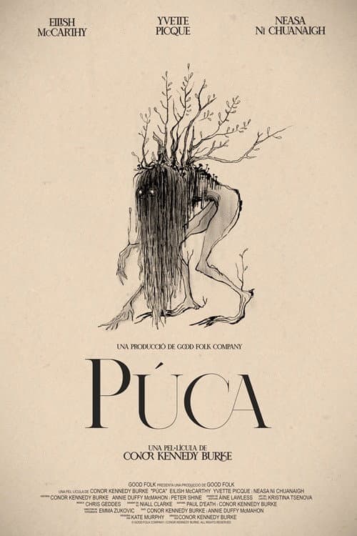 Púca (2025) poster