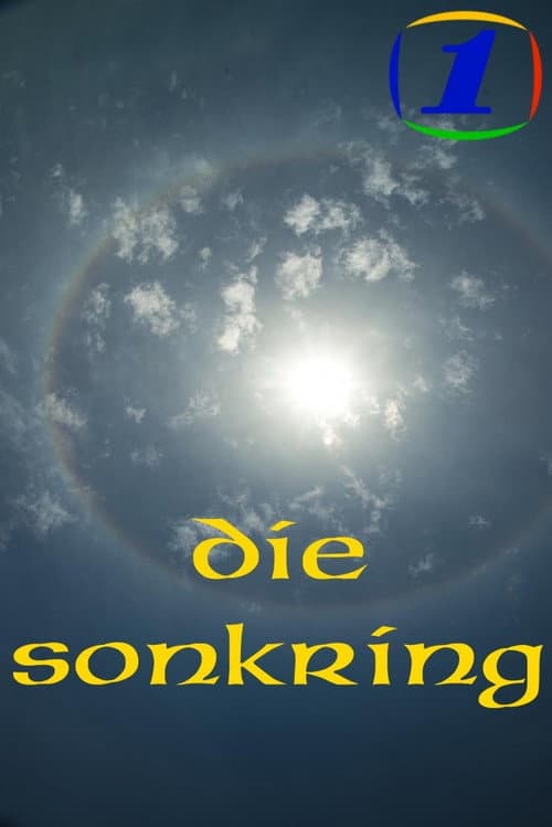Die Sonkring (1991) poster
