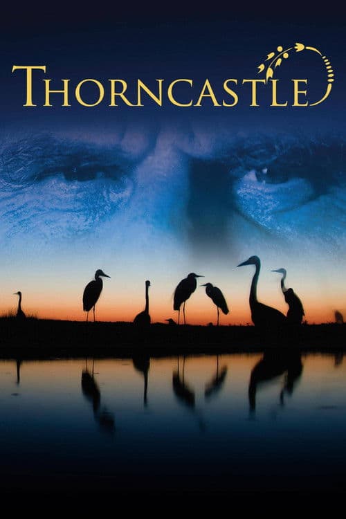 Thorn Castle poster