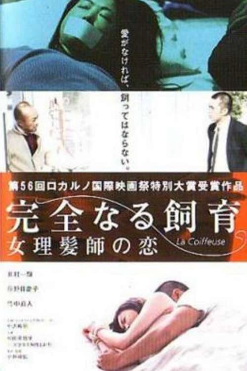 Perfect Education 5: Amazing Story (2004) poster